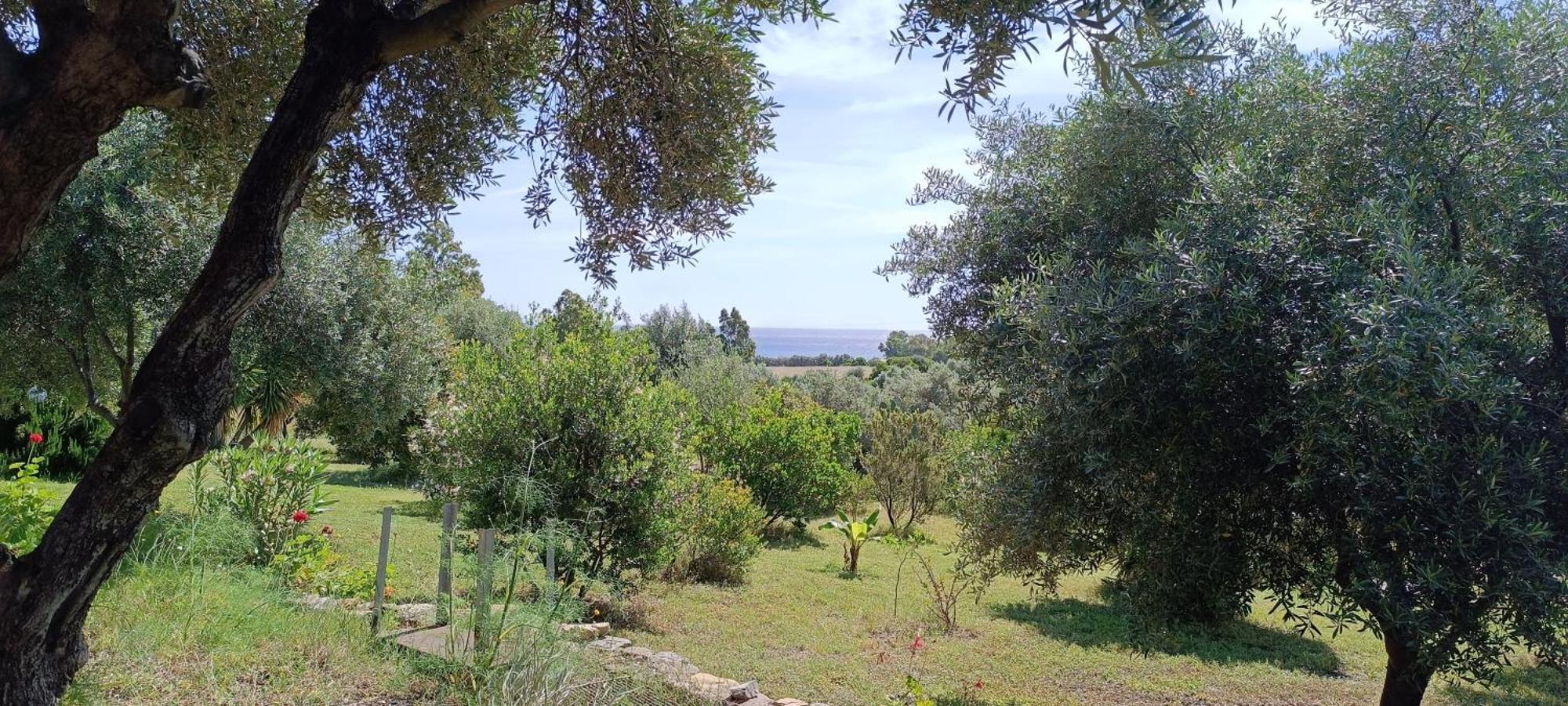 Sa Teria Village Tertenìa Exterior foto