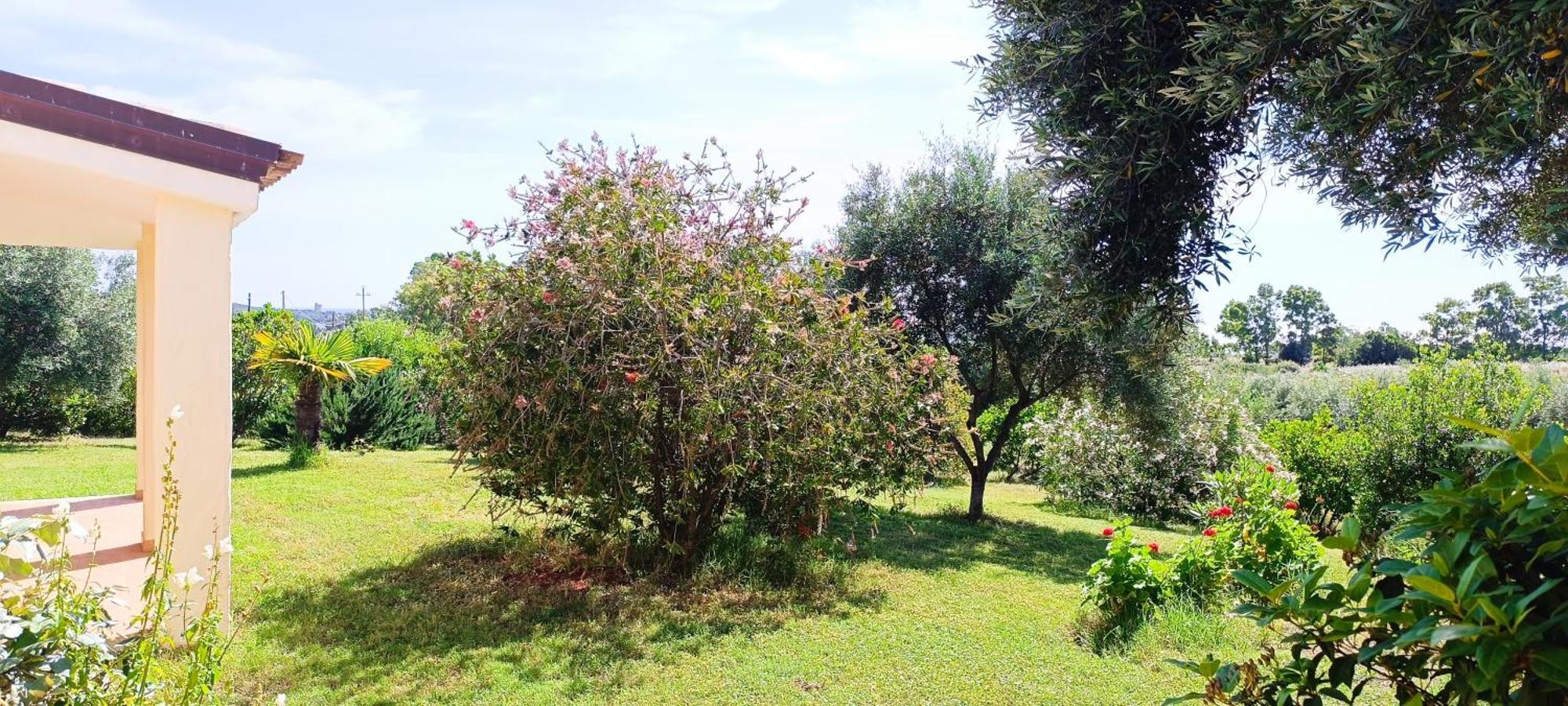 Sa Teria Village Tertenìa Exterior foto