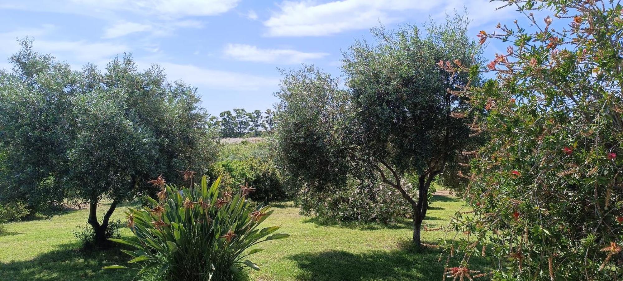 Sa Teria Village Tertenìa Exterior foto